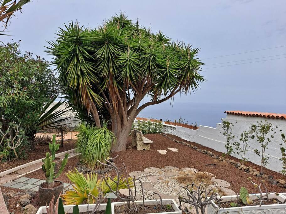 Tenerife Apartment Dulcynea With Terrace And Garden 600M2 With Ocean And Teide View อิคอดเดลอสวินอส ภายนอก รูปภาพ