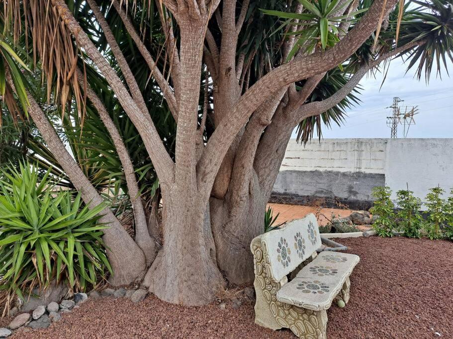 Tenerife Apartment Dulcynea With Terrace And Garden 600M2 With Ocean And Teide View อิคอดเดลอสวินอส ภายนอก รูปภาพ