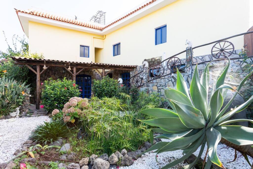 Tenerife Apartment Dulcynea With Terrace And Garden 600M2 With Ocean And Teide View อิคอดเดลอสวินอส ภายนอก รูปภาพ